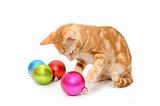 Kitten playing christmas balls