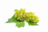 Ripe green grapes on a white background