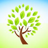 Green Tree Design
