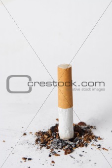 cigarette Butt