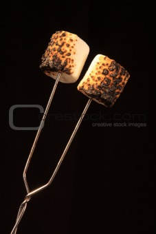 Two toasted Marshmallows