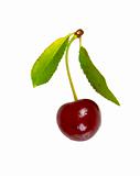 red cherry with leaves