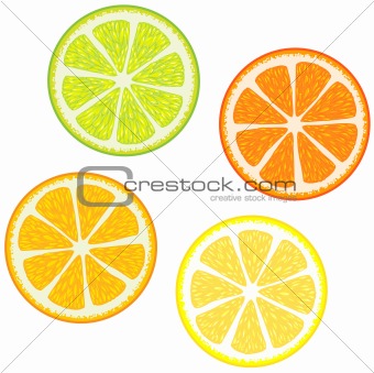  Slices of citrus fruits