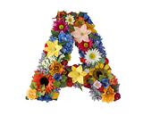 Flower Alphabet - A