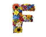 Flower Alphabet - F