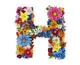 Flower Alphabet - H