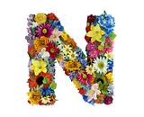 Flower Alphabet - N