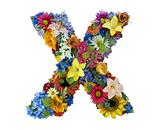 Flower Alphabet - X
