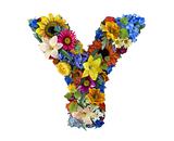Flower Alphabet - Y