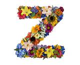 Flower Alphabet - Z