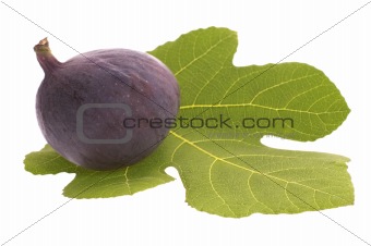 fresh figs