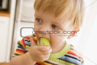Young boy eating apple indoors