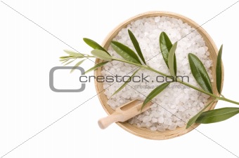 spa. bath salt and olive branch