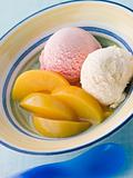 Bowl of Peaches and Ice Cream
