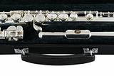 Flute in a case with handle