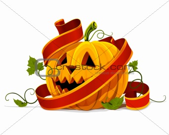 vector halloween pumpkin vegetable fruit isolated