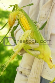 Garden Corn