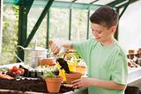 Young boy in greenhouse putting soil in pot smiling