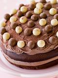 Chocolate Malteser Cake