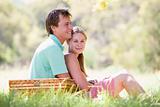 Couple at park having a picnic and smiling
