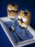 Healthy Snack of Blueberries and Granola with Yogurt