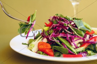 Fork Taking Salad From a Plate
