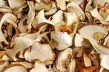 Dry mushrooms