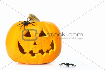 Carved halloween pumpkin with spiders 
