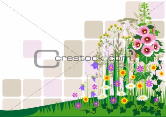 Floral background with meadow
