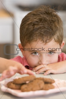Young boy in kitchen eating cookies