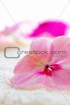 Gentle flower on luxury towel