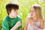 Two young children sitting outdoors blowing dandelion heads smil