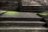 Mossy steps