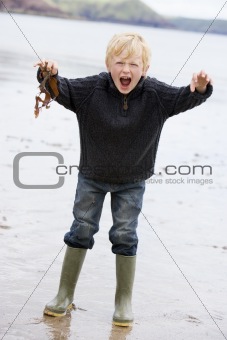 Young boy standing on beach holding leaves smiling