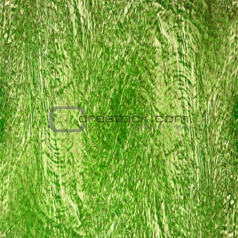 grunge green texture