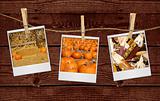 Pictures of Fall Related Images Hanging on a Rope