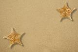 Two star fish on the sand