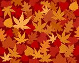 Vibrantly colored autumn leaves wallpaper