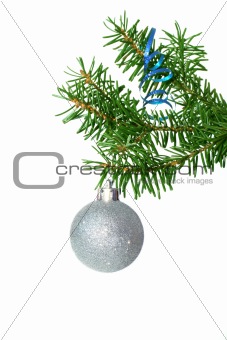 Fir tree branch with silver ball on a white background.