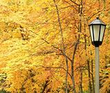 Lantern against autumn yellow trees