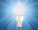 Illuminated energy saving light bulb