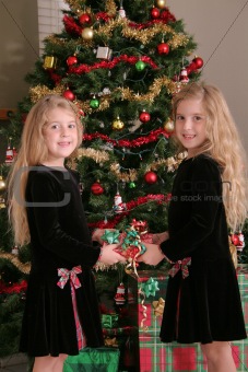 shot of twin sisters sharing a present vertical