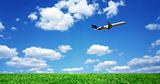 Airplane over grassy field
