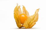 Cape Gooseberry fruit with husk