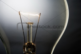 Illuminated Light Bulb