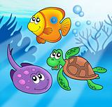 Cute marine animals 3
