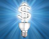 Illuminated money saving energy bulb