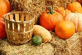 Pumpkins and gourds in a basket