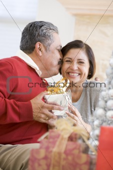 Middle Aged Couple Affectionately Sitting And Holding Christmas 