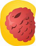Raspberry fruit illustration